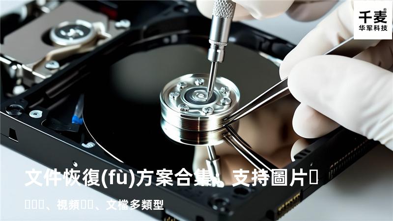 文件恢復(fù)方案合集：支持圖片、視頻、文檔多類型 